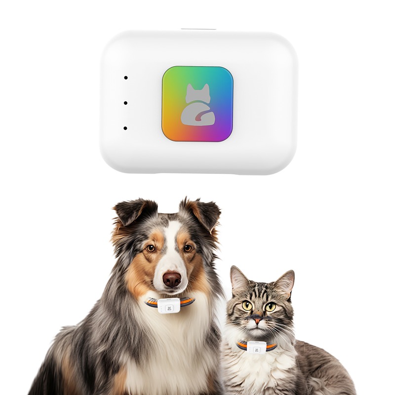 Pet GPS AGPS Tracking Device 4 - огляд і ціна Pet Gps Tracker Collar