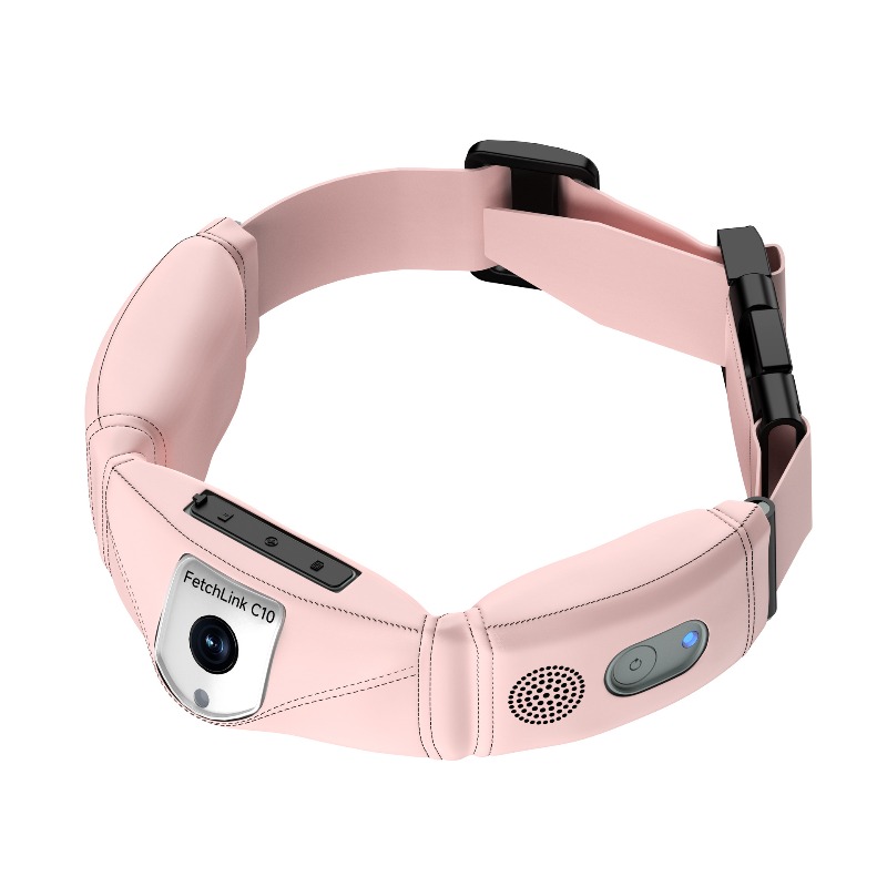 All-in-One Smart Collar With G - огляд і ціна Pet Gps Tracker Collar