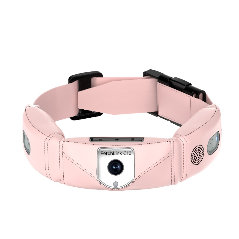 All-in-One Smart Collar With G - огляд і ціна Pet Gps Tracker Collar