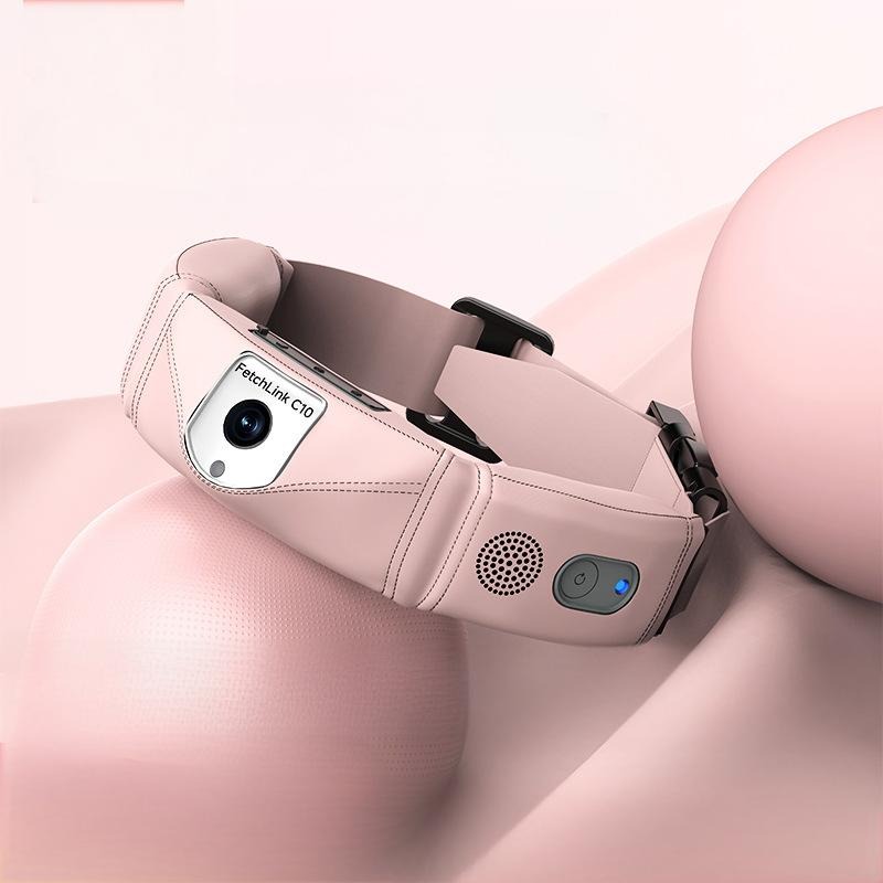 All-in-One Smart Collar With G - огляд і ціна Pet Gps Tracker Collar