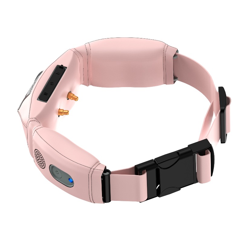 All-in-One Smart Collar With G - огляд і ціна Pet Gps Tracker Collar
