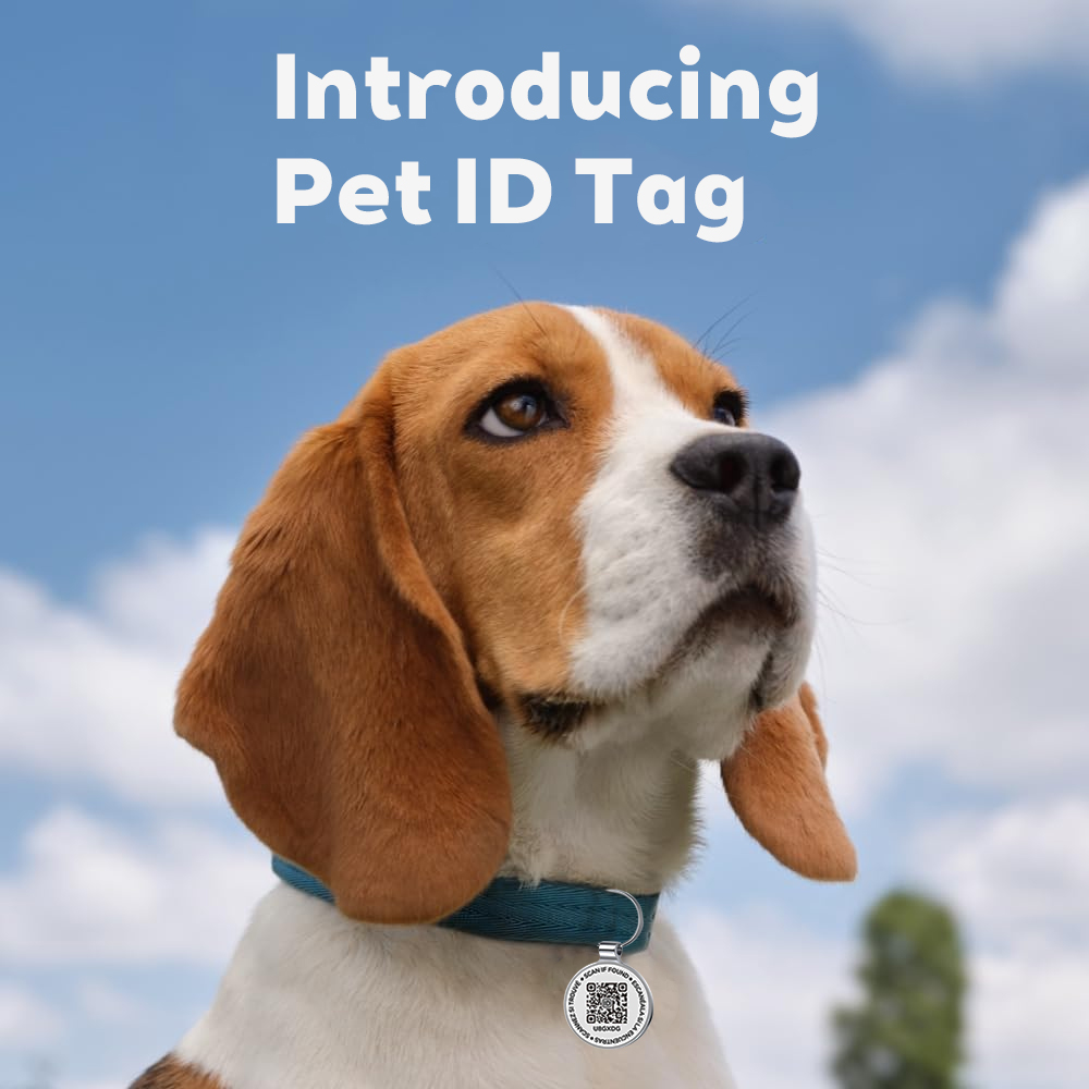 QR ID Pet Tag, Metal Dog Tag w - огляд і ціна Pet Supplies Online