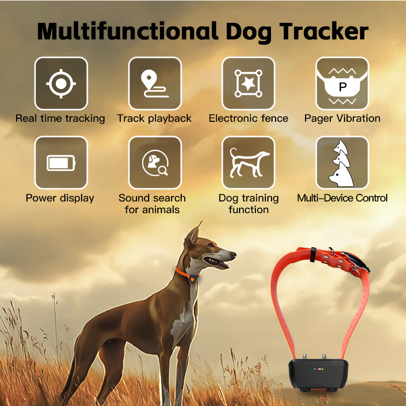 Special WiFi Waterproof GPS Do - огляд і ціна Pet Gps Tracker Collar
