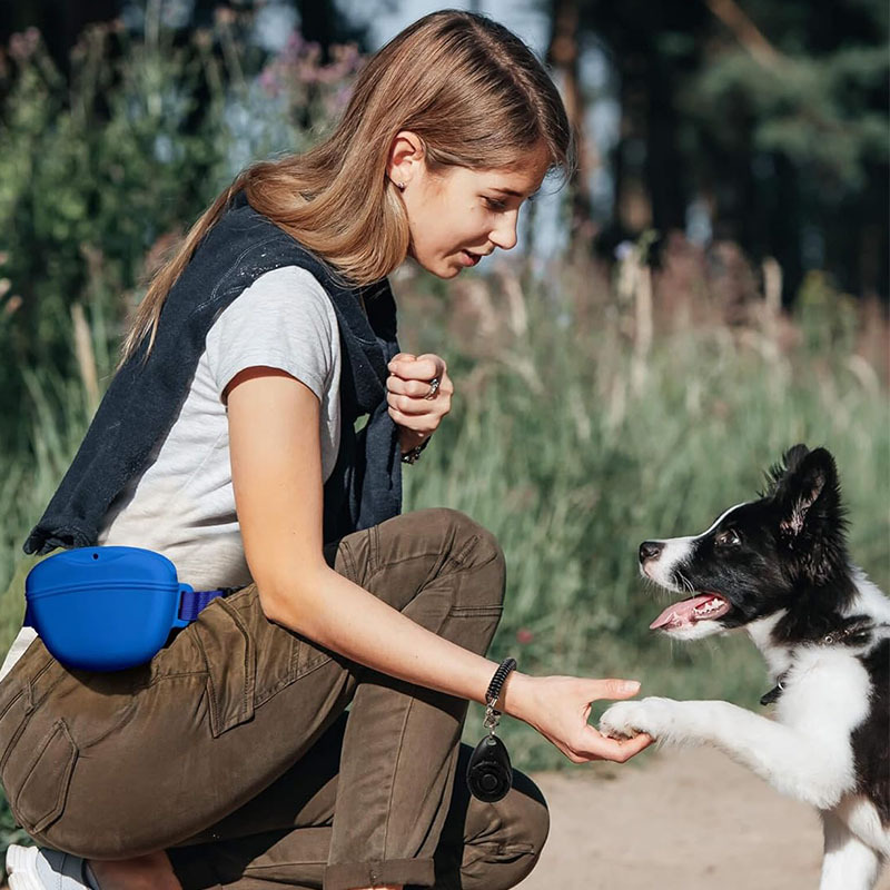 Silicone Dog Treat Bag Portabl - огляд і ціна Pet Supplies Rewards