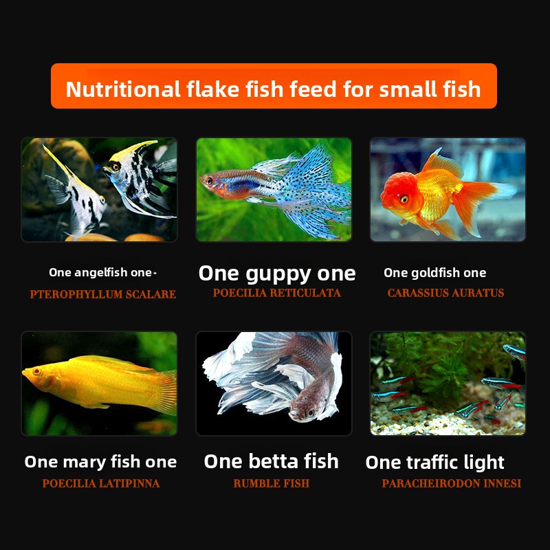 DaJiaWa Spirulina Flake Fish F - огляд і ціна Tetra Food Betta Flakes