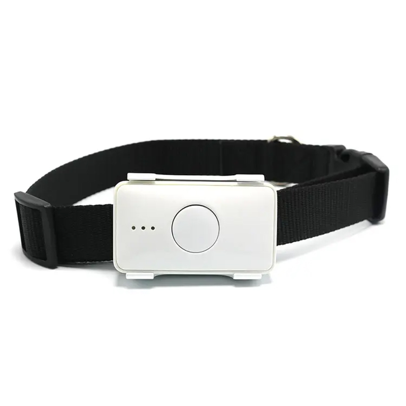 STLFSkylab Waterproof Pet Toys - огляд і ціна Pet Gps Tracker Collar