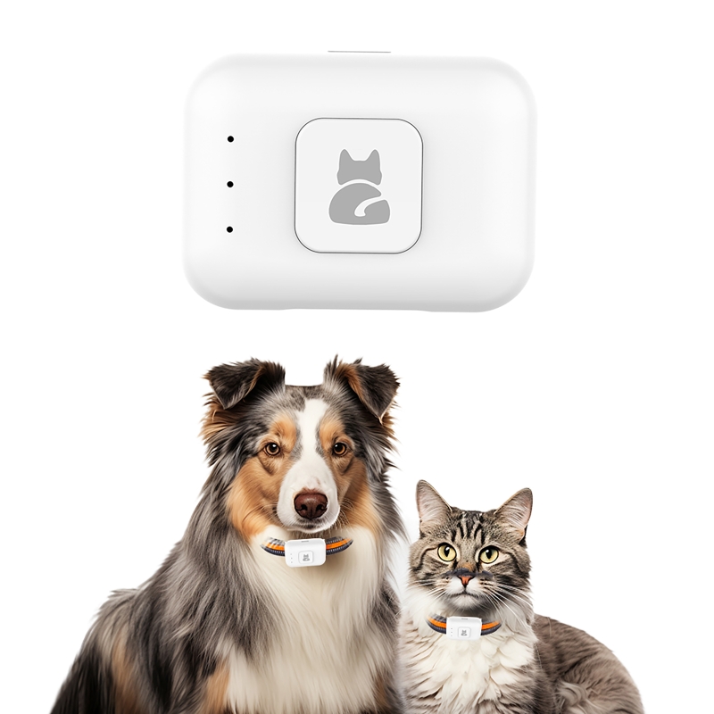 GPS Pet Tracker with Colorful  - огляд і ціна Pet Gps Tracker Collar