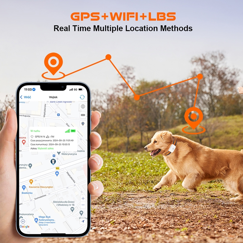 GPS Pet Tracker with Colorful  - огляд і ціна Pet Gps Tracker Collar