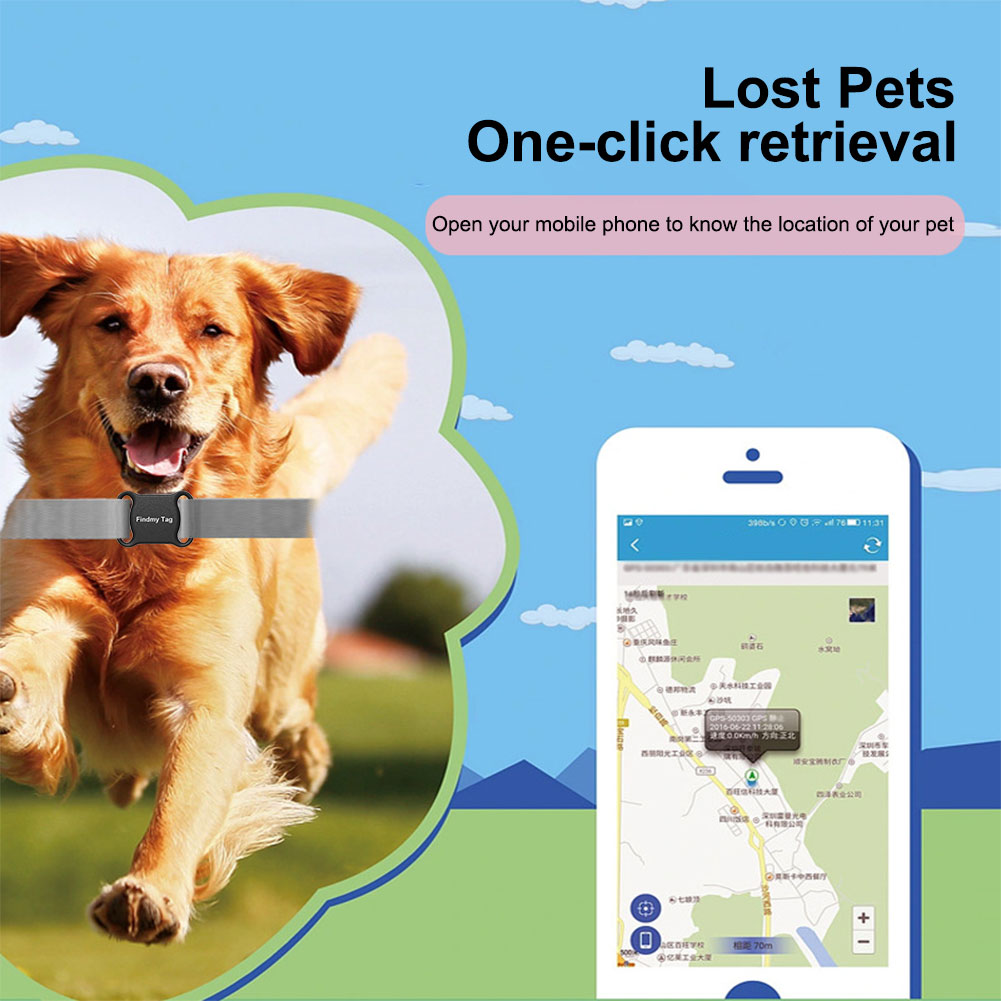 Anti-Lost GPS Tracker Locator  - огляд і ціна Pet Gps Tracker Collar